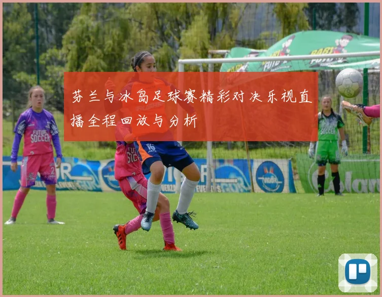 芬兰与冰岛足球赛精彩对决乐视直播全程回放与分析