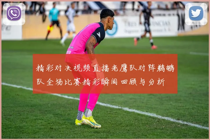 精彩对决视频直播老鹰队对阵鹈鹕队全场比赛精彩瞬间回顾与分析