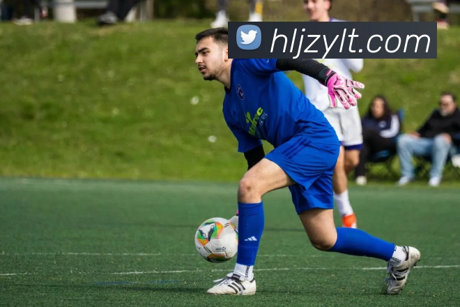 bevictor伟德服务体系